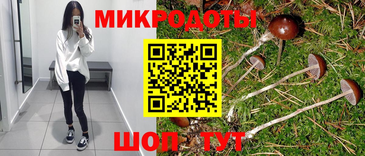 Галлюциногенные грибы Magic Shrooms  Галлюциногенные грибы Psilocybine cubensis  купить закладку  Вход с VPN  Хасавюрт 