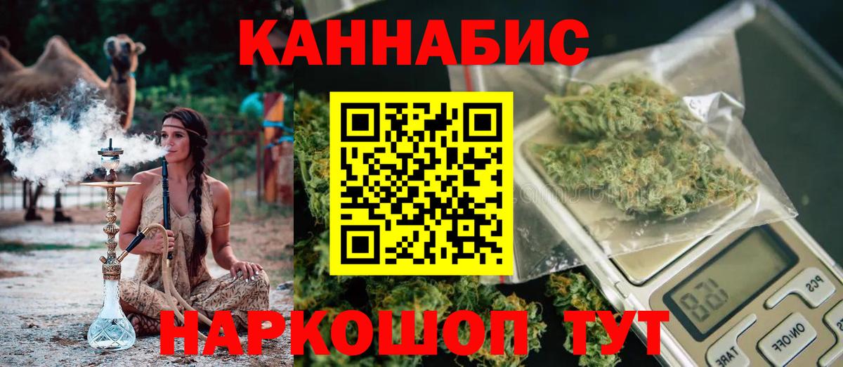 Конопля сатива Хасавюрт